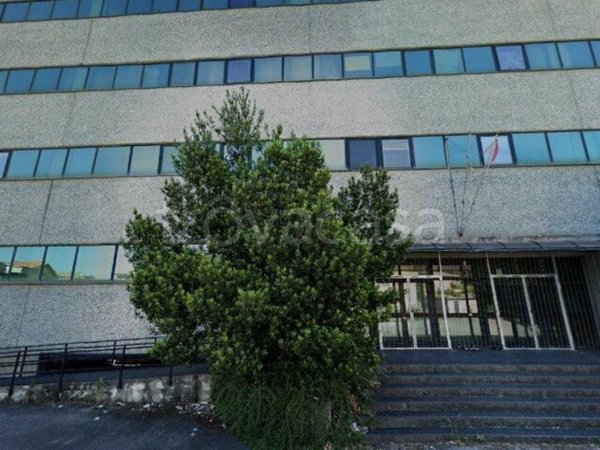 negozio in vendita a Colleferro