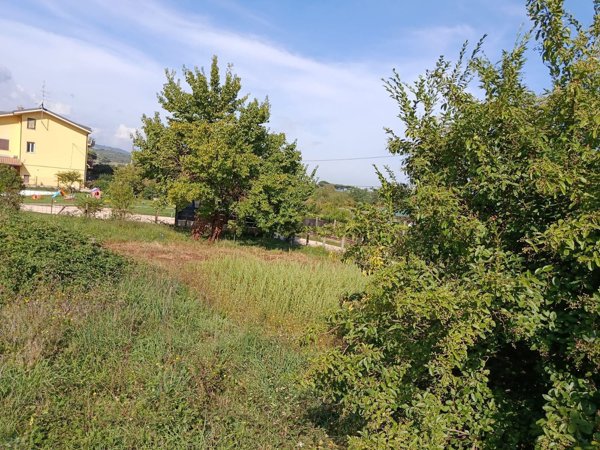 terreno agricolo in vendita a Colleferro
