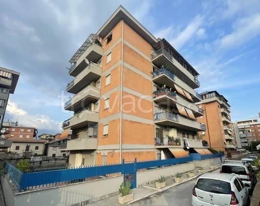 appartamento in vendita a Colleferro