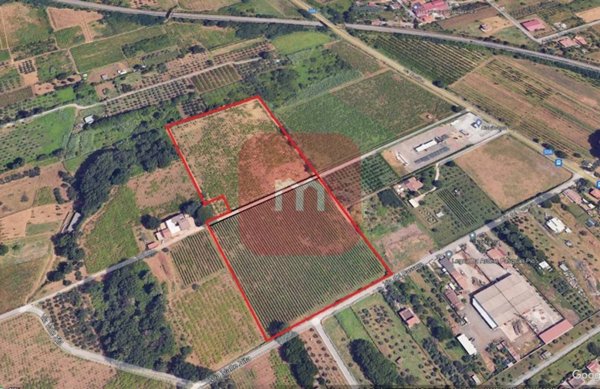 appartamento in vendita a Colonna