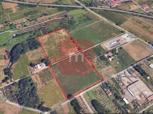 terreno agricolo in vendita a Colonna
