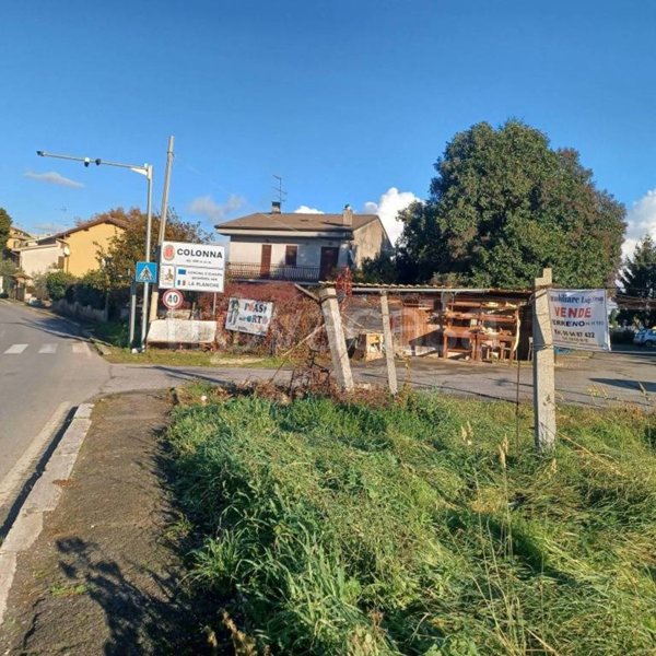 terreno agricolo in vendita a Colonna