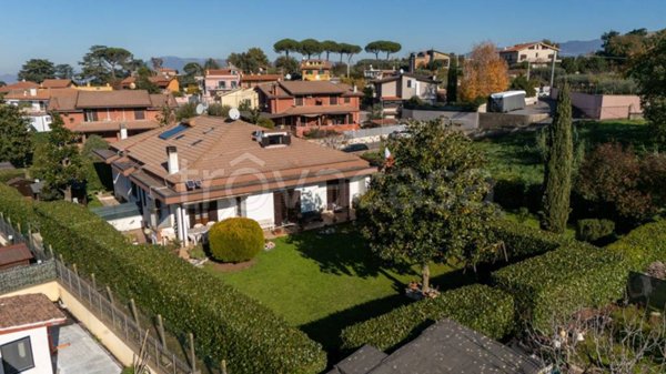 immagine annuncio 0 di 15