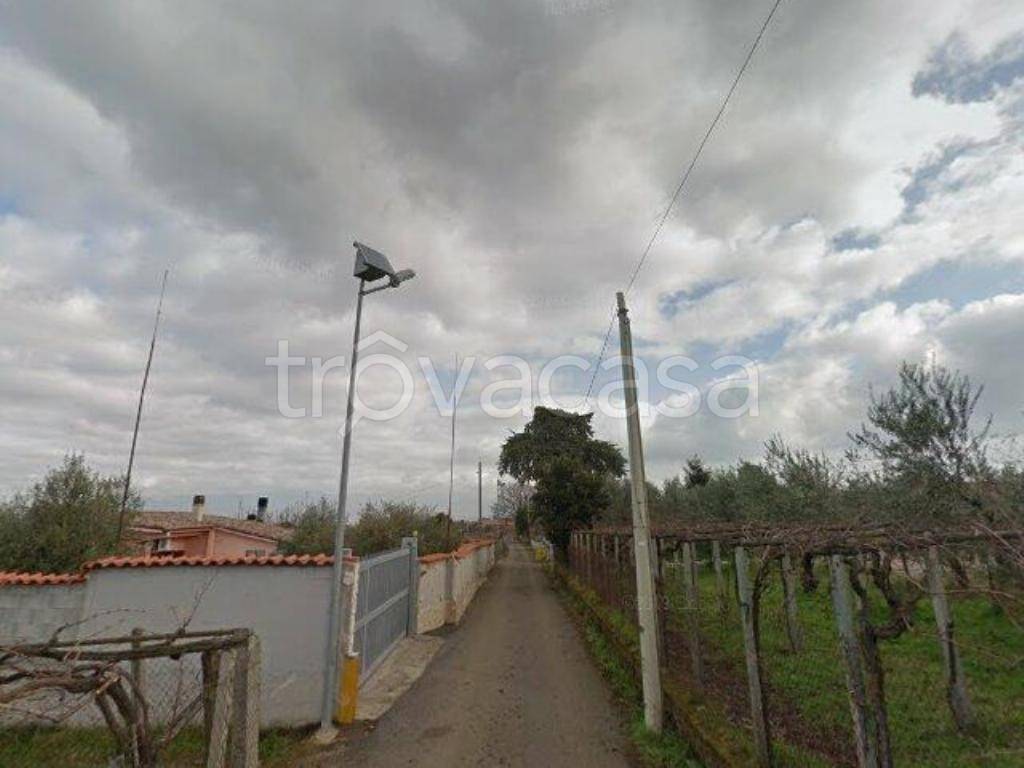 appartamento in vendita a Colonna