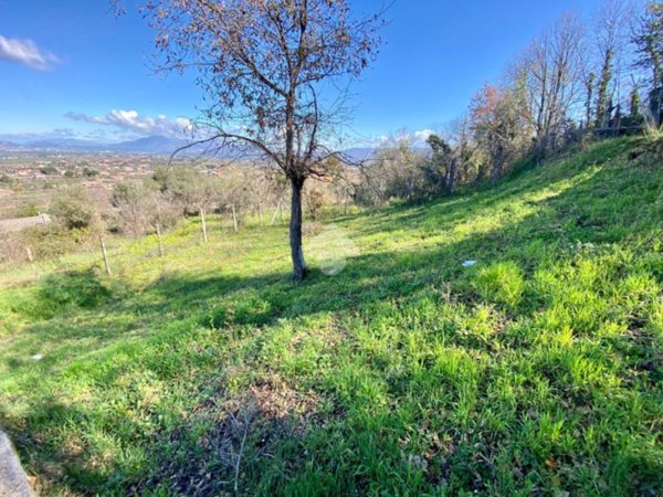 terreno agricolo in vendita a Colonna