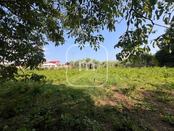 terreno agricolo in vendita a Colonna