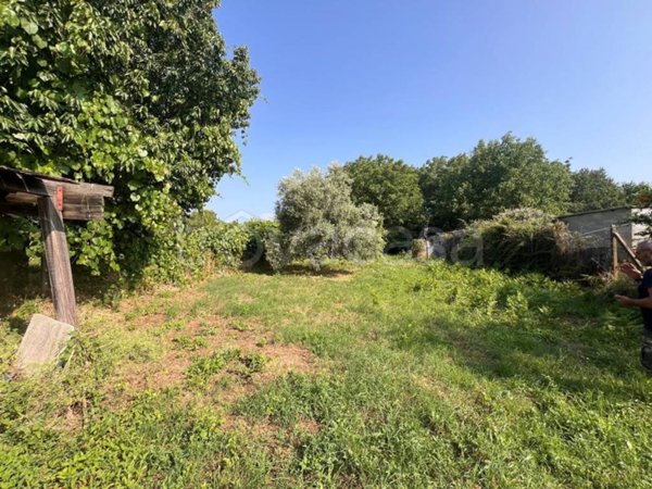 terreno agricolo in vendita a Colonna