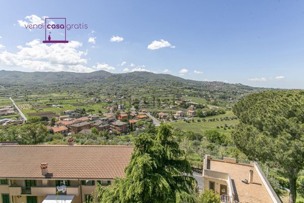 appartamento in vendita a Colonna