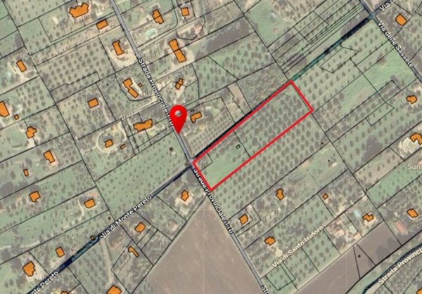 terreno agricolo in vendita a Fiano Romano