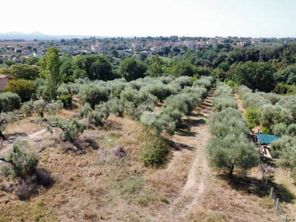 terreno agricolo in vendita a Fiano Romano