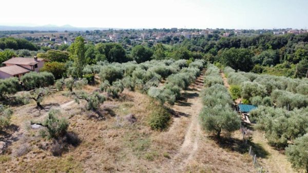 casa indipendente in vendita a Fiano Romano