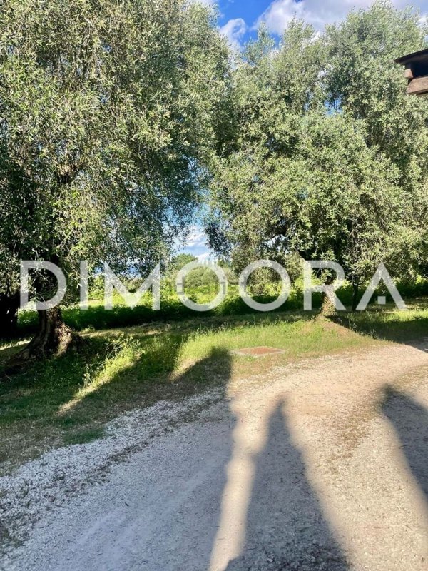 casa indipendente in vendita a Fiano Romano