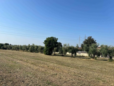 casa indipendente in vendita a Fiano Romano