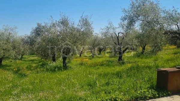 terreno agricolo in vendita a Fiano Romano