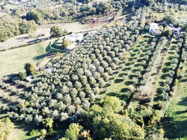 terreno agricolo in vendita a Fiano Romano