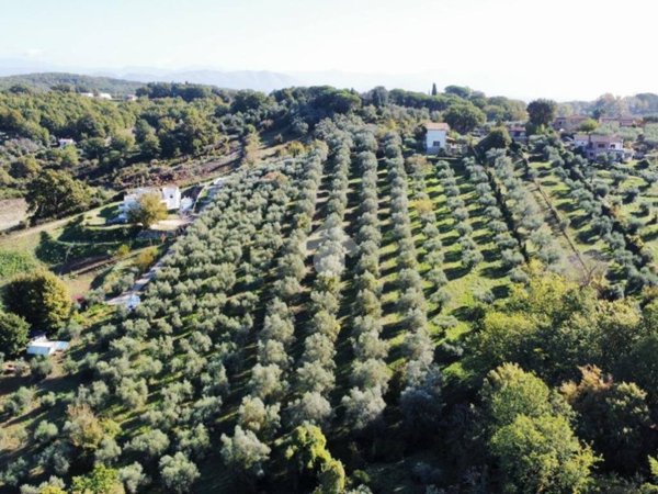 terreno agricolo in vendita a Fiano Romano