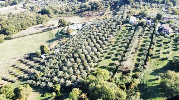 casa indipendente in vendita a Fiano Romano