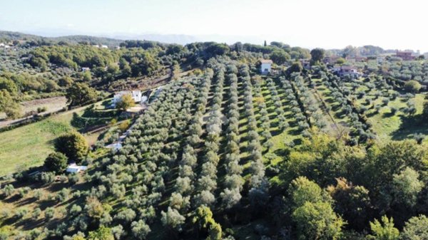 casa indipendente in vendita a Fiano Romano