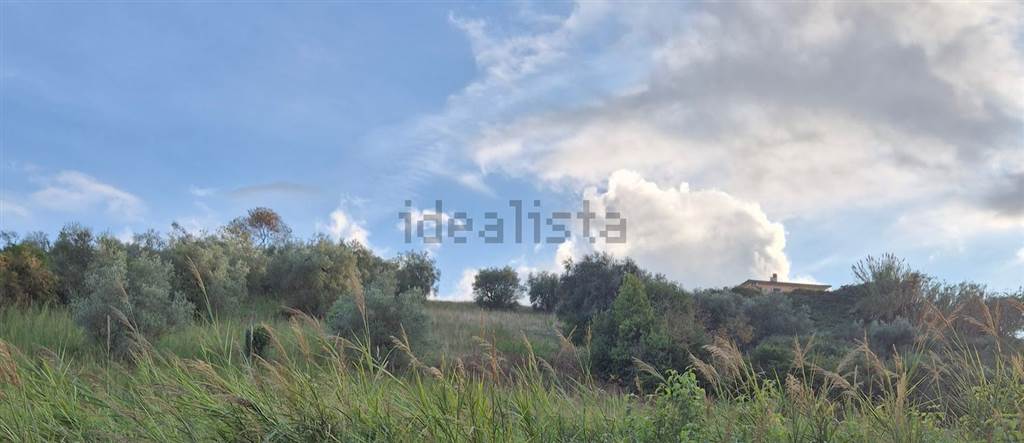 terreno agricolo in vendita a Fiano Romano