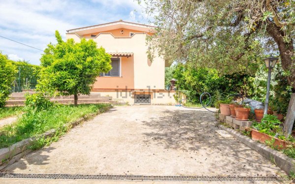 esavano in vendita a Fiano Romano