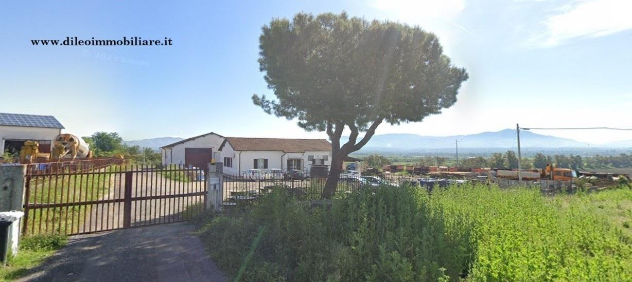 esavano in vendita a Fiano Romano