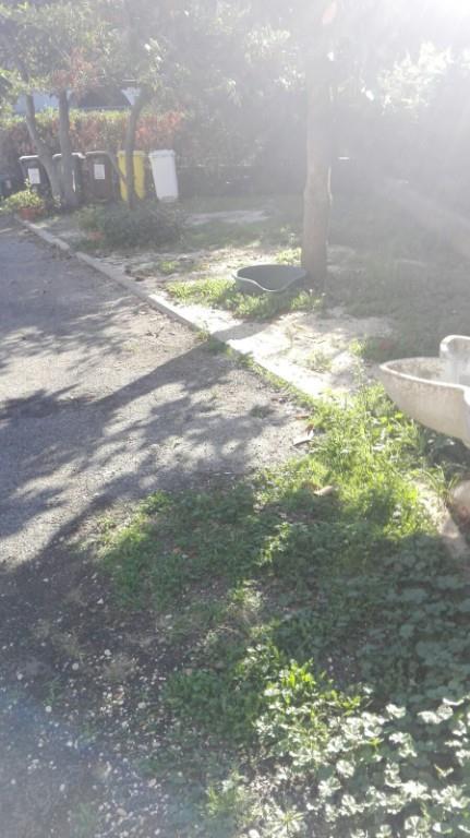 appartamento in vendita a Fiano Romano