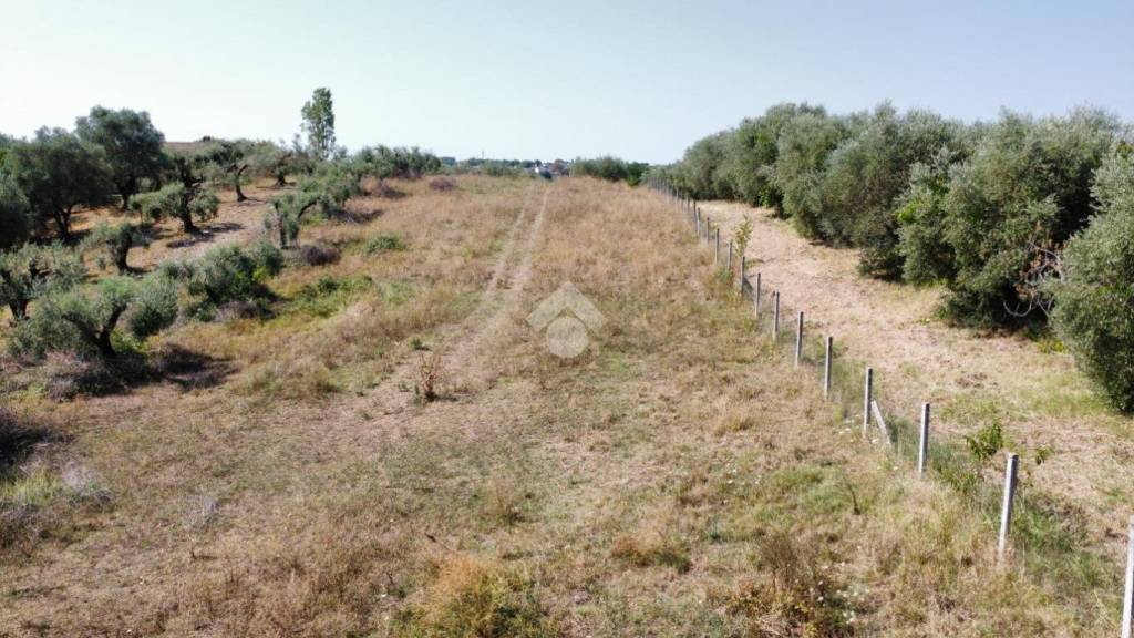 casa indipendente in vendita a Fiano Romano