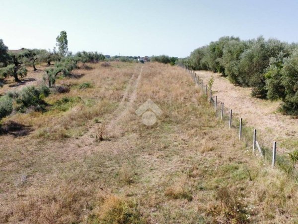 terreno agricolo in vendita a Fiano Romano