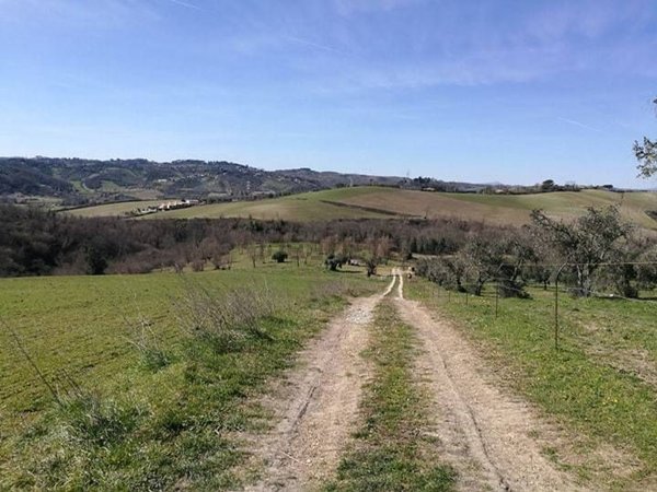 terreno agricolo in vendita a Fiano Romano