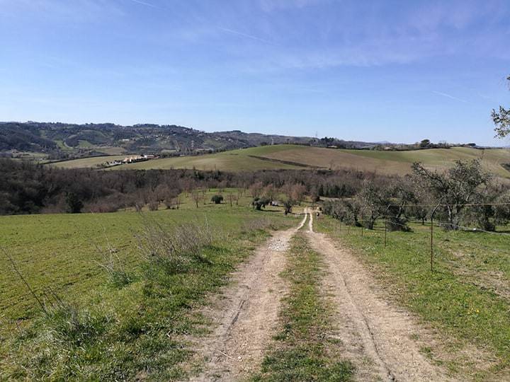 terreno agricolo in vendita a Fiano Romano
