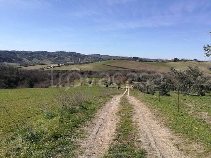 terreno agricolo in vendita a Fiano Romano