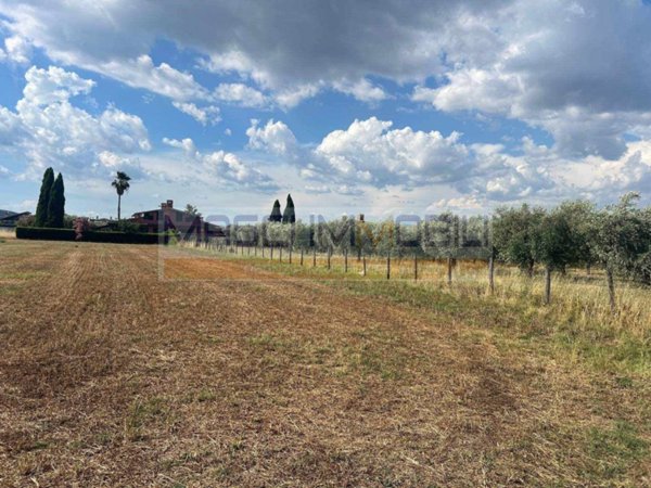 terreno agricolo in vendita a Fiano Romano
