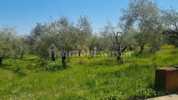 terreno edificabile in vendita a Fiano Romano
