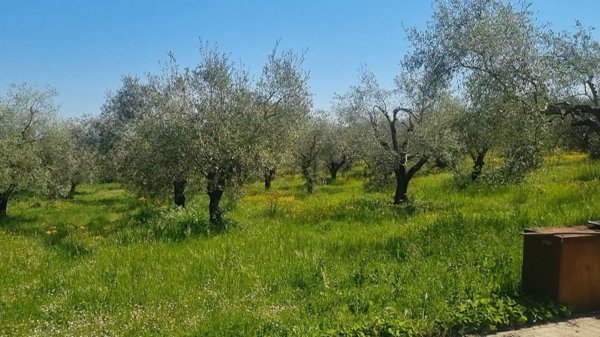 terreno edificabile in vendita a Fiano Romano