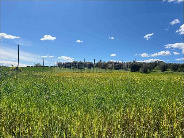 terreno agricolo in vendita a Fiano Romano