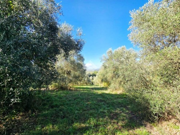 terreno in vendita a Fiano Romano