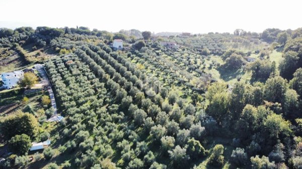 terreno in vendita a Fiano Romano