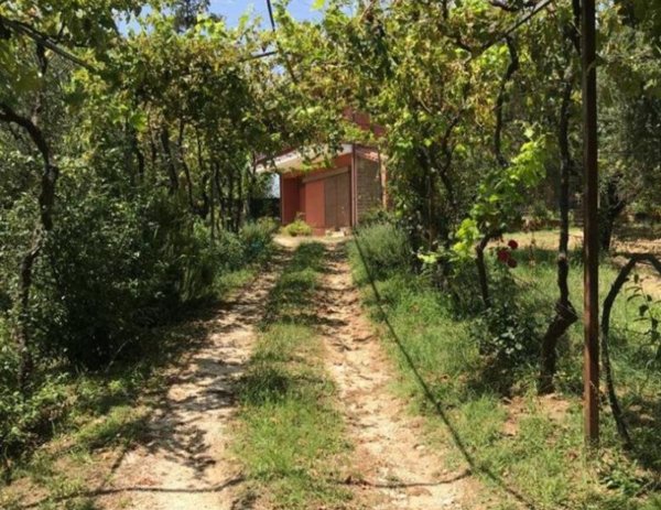 casa indipendente in vendita a Filacciano