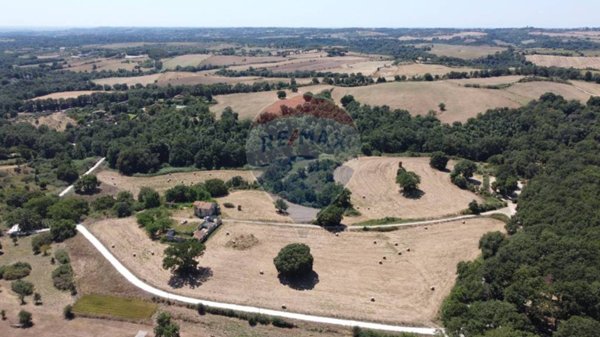 appartamento in vendita a Formello