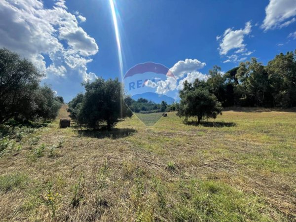 terreno agricolo in vendita a Formello