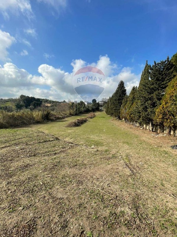 terreno agricolo in vendita a Formello
