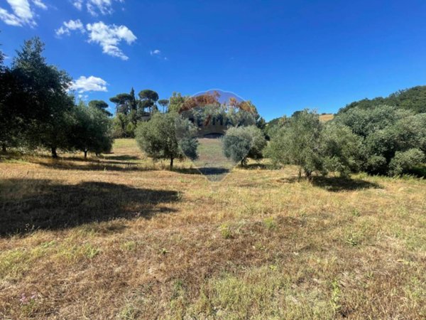 terreno agricolo in vendita a Formello