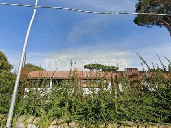 negozio in vendita a Formello