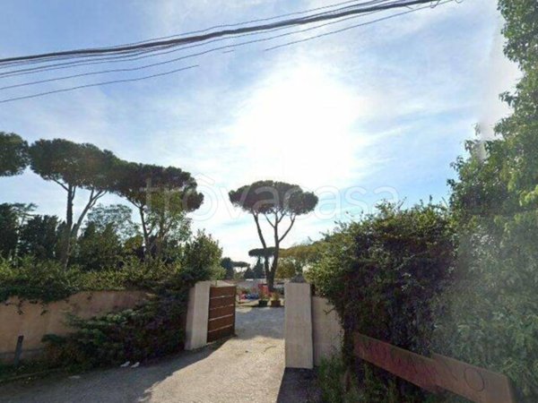 negozio in vendita a Formello
