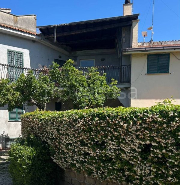 appartamento in vendita a Formello