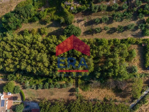 terreno agricolo in vendita a Formello