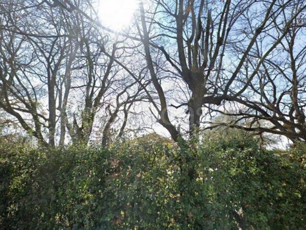 casa indipendente in vendita a Formello