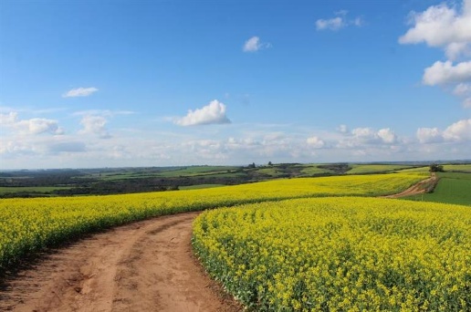 casa indipendente in vendita a Formello