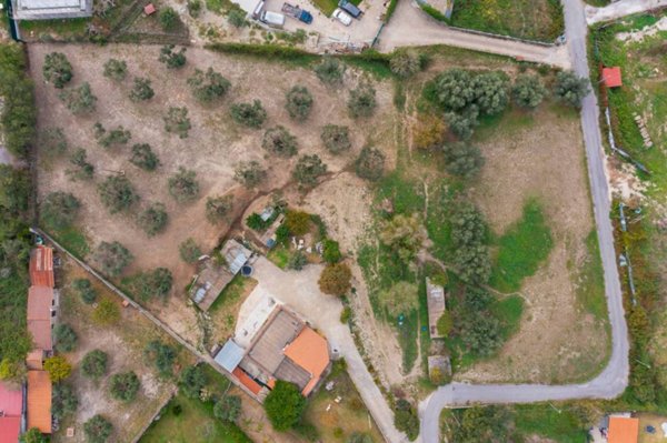 immagine annuncio 0 di 10