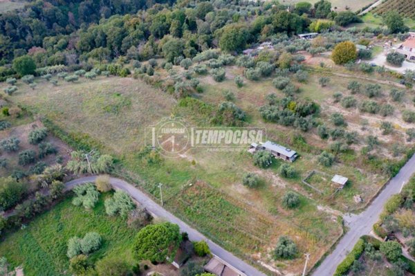 terreno agricolo in vendita a Formello
